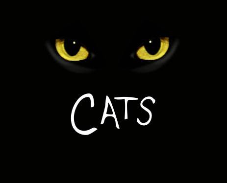Cats Production Cats Production